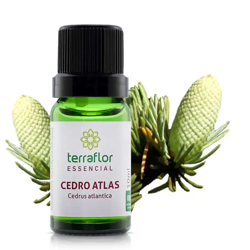 Óleo Essencial Cedro Atlas Terraflor Blend Essencial Aromaterapia