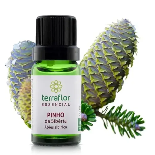 Óleo Essencial Pinho da Sibéria Terraflor Blend Essencial Aromaterapia
