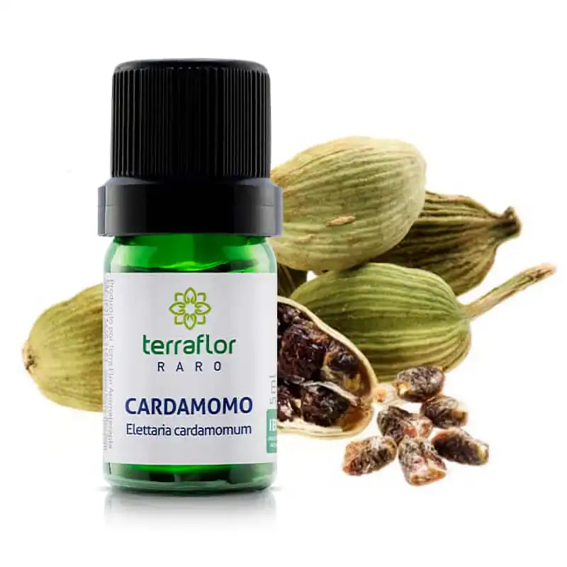 Óleo Essencial Cardamomo Raro Terraflor - 5ml Blend Essencial Aromaterapia