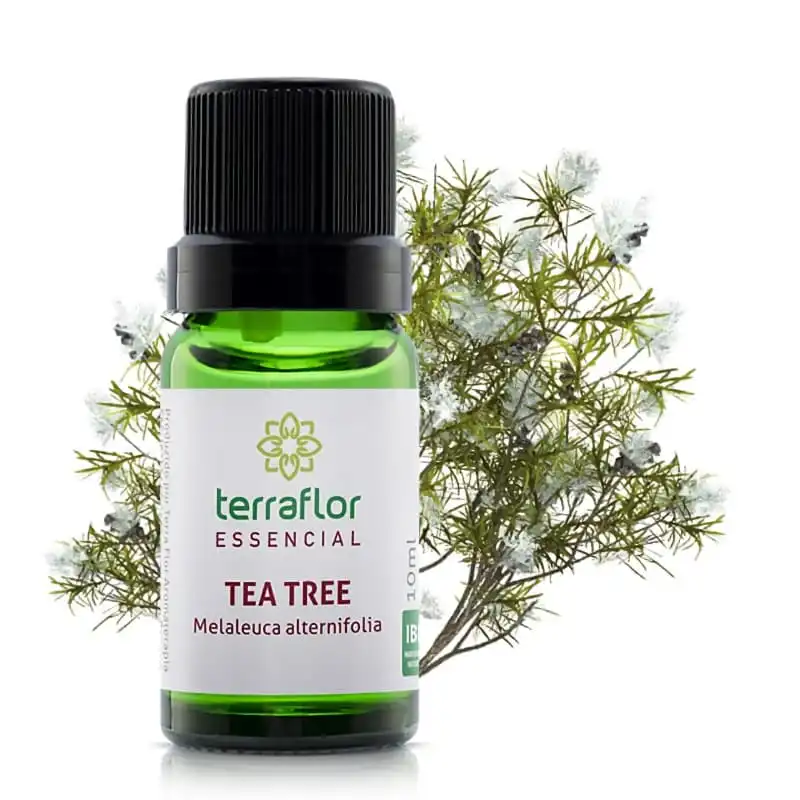 Óleo Essencial Tea Tree Terraflor Blend Essencial Aromaterapia