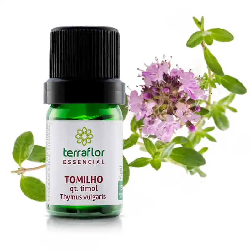 Óleo Essencial Tomilho Terraflor Blend Essencial Aromaterapia