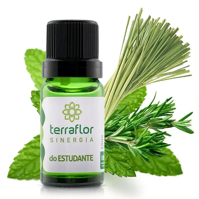 Sinergia do Estudante Terraflor 10ml Blend Essencial Aromaterapia