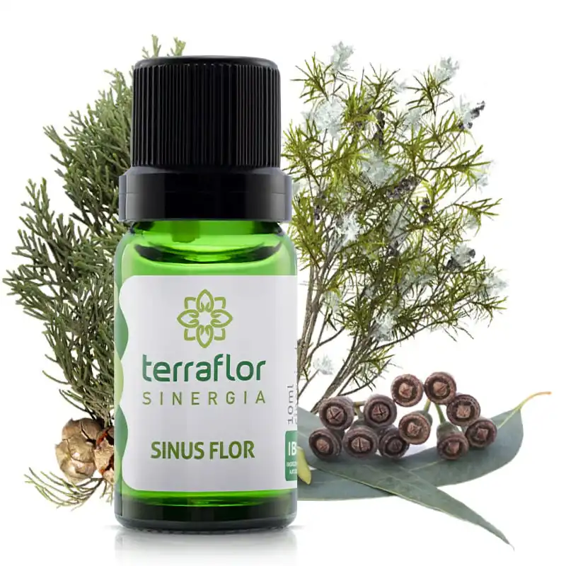 Sinergia Sinus Flor Terraflor Blend Essencial Aromaterapia