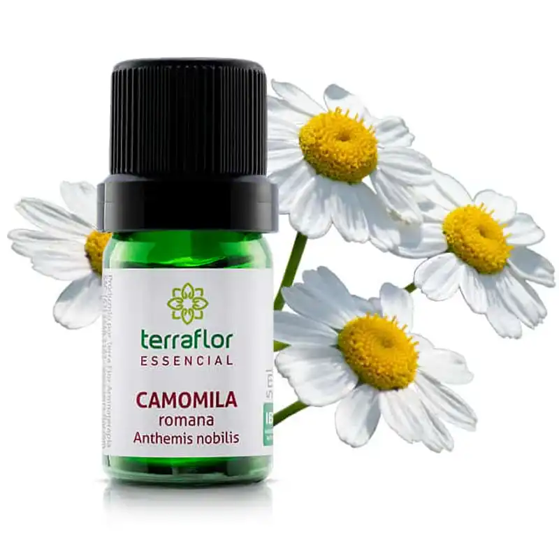 Óleo Essencial de Camomila Romana Terraflor - 5ml - Blend Essencial Aromaterapia