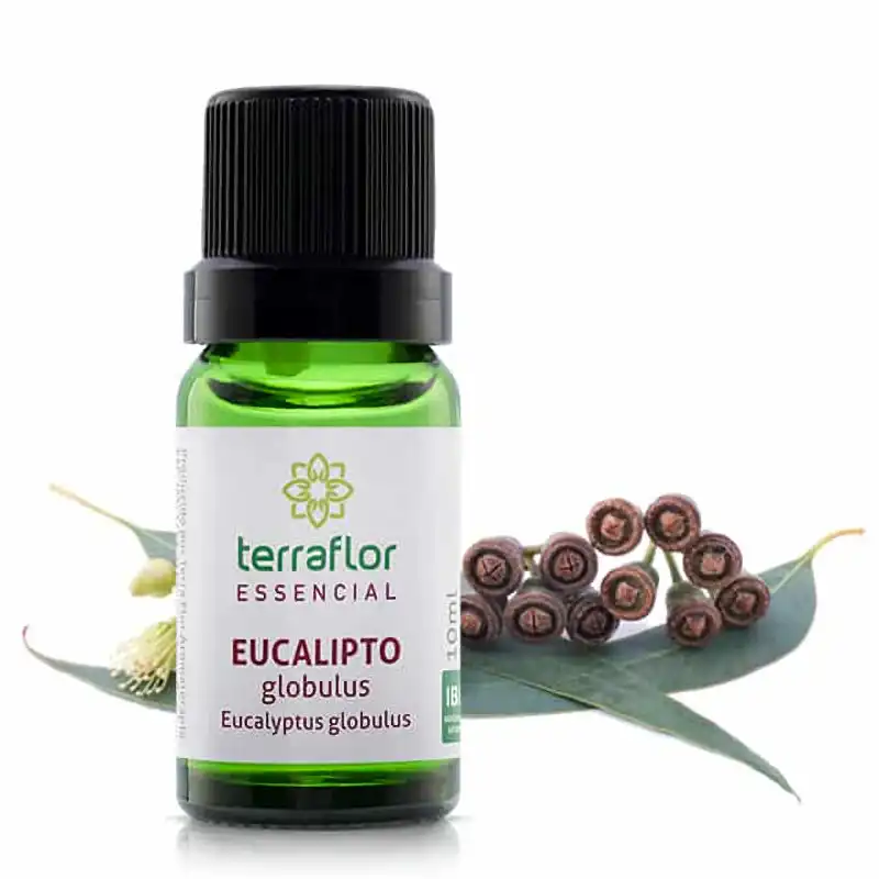 Óleo Essencial de Eucalipto Glóbulus Terraflor - 10ml - Blend Essencial Aromaterapia