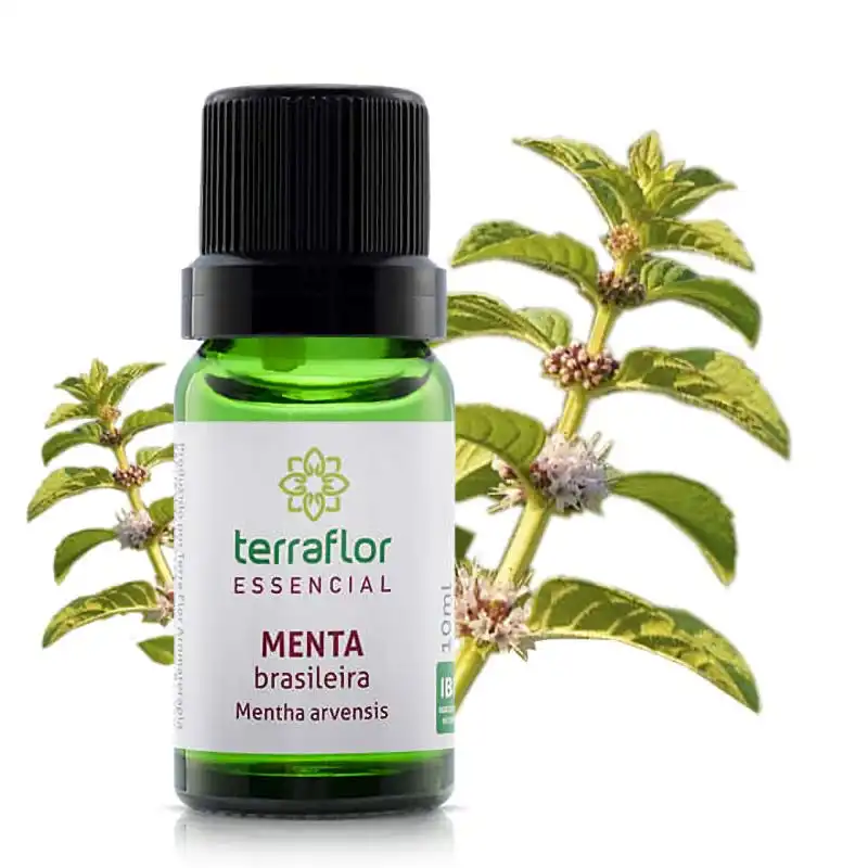 Óleo Essencial de Menta Brasileira Terraflor - 10ml - Blend Essencial Aromaterapia